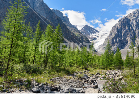 View on Glacier small Aktru. Altai Republic Russia 35614090