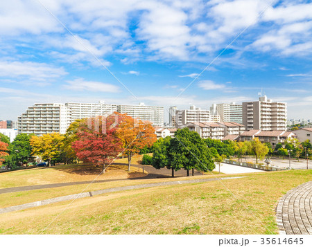 秋色に染まる住宅街 35614645