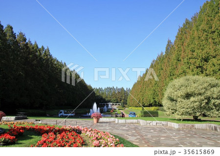 相模原公園 35615869