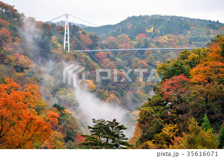 紅葉 35616071