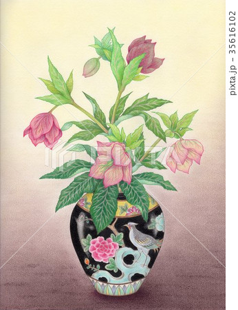 中国の茶つぼに花 35616102