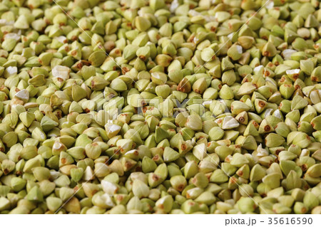 蕎麦の実 35616590