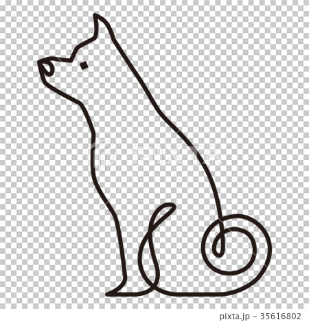 日本犬 35616802
