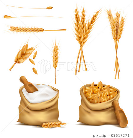 Vector realistic set cereals 3d icon 35617271
