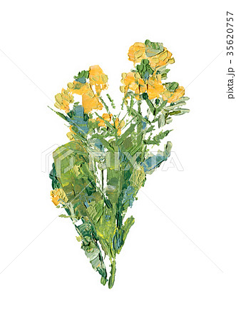 Oil painting of wild flower bouquet Oil painting of wild flower bouquet 35620757