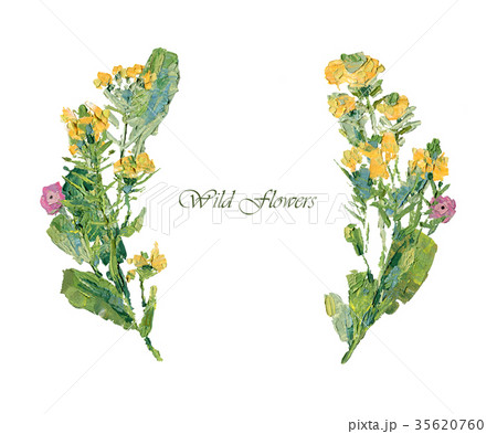 Oil painting of wild flowers Oil painting of wild flowers 35620760