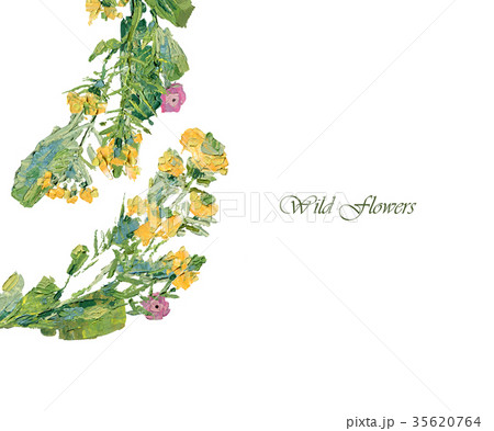 Oil painting of wild flowers 35620764