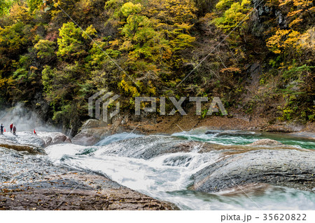 片品渓谷の紅葉 片品渓谷の紅葉 35620822