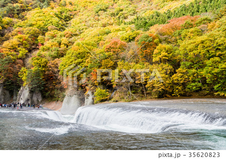 晩秋の吹割の滝 35620823