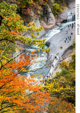 晩秋の吹割の滝 35620832