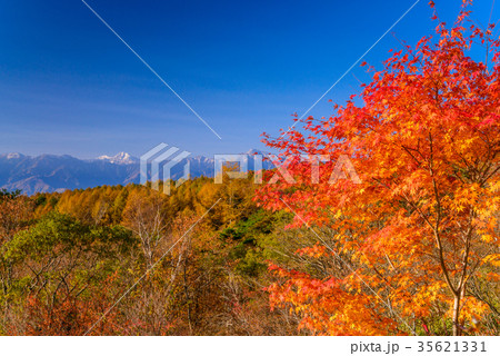 【山梨県】清里の美し森から眺める、南アルプス 【山梨県】清里の美し森から眺める、南アルプス 35621331