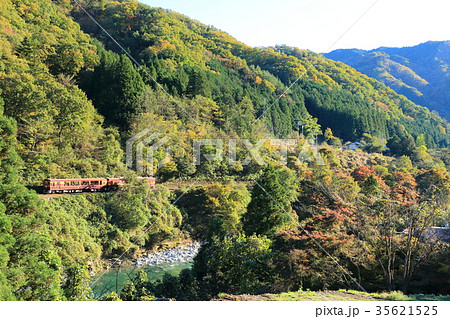 わたらせ渓谷鐵道「山間部を走るトロッコ列車」 わたらせ渓谷鐵道「山間部を走るトロッコ列車」 35621525