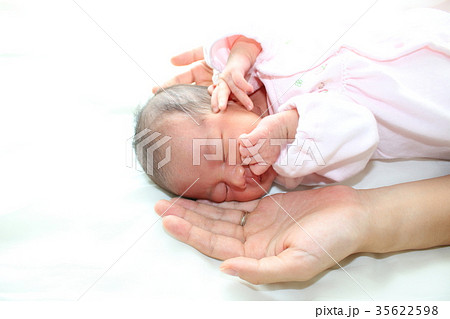 新生児 新生児 35622598
