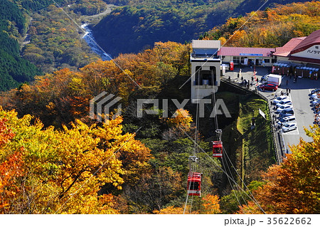 10月　日光64明智平ﾛｰﾌﾟｳｴｲの紅葉 35622662