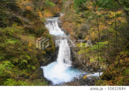 10月　西沢渓谷16七ツ釜五段の滝と紅葉･黄葉 35622684