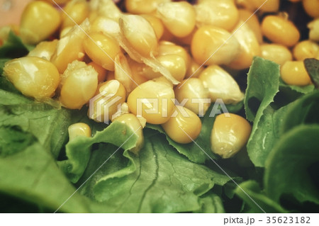 Boiled corn 35623182