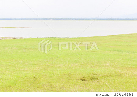 green field and water behind with sky 35624161