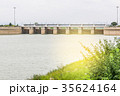 water is waiting for drainage at dam with tree 35624164
