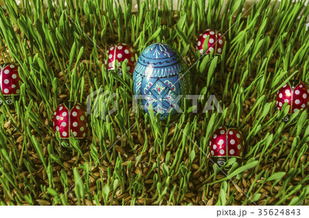 Easter wooden painted blue egg Easter wooden painted blue egg 35624843