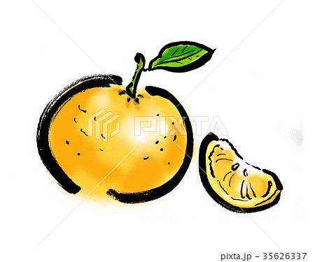 夏みかん 35626337