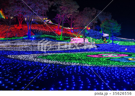 東京ドイツ村 イルミネーション 2017年 （千葉県袖ヶ浦市） 35626556