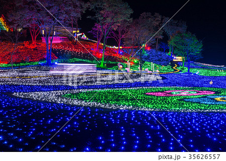 東京ドイツ村 イルミネーション 2017年 （千葉県袖ヶ浦市） 35626557