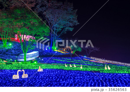 東京ドイツ村 イルミネーション 2017年 （千葉県袖ヶ浦市） 35626563