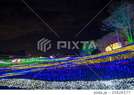 東京ドイツ村 イルミネーション 2017年 (千葉県袖ヶ浦市) 東京ドイツ村 イルミネーション 2017年 (千葉県袖ヶ浦市) 35626577