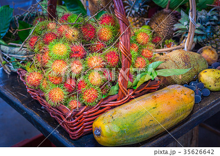 Thai fruits in the garden to bring tourists to eat Thai fruits in the garden to bring tourists to eat 35626642