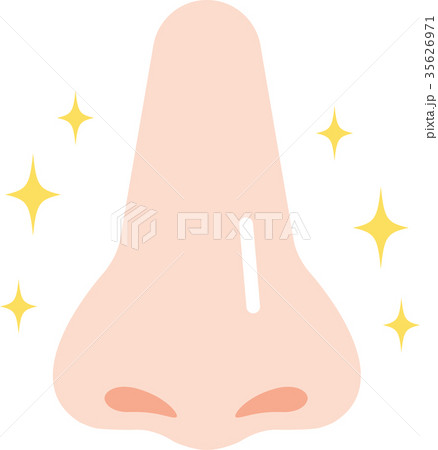 きれいな鼻のイラスト素材 きれいな鼻のイラスト素材