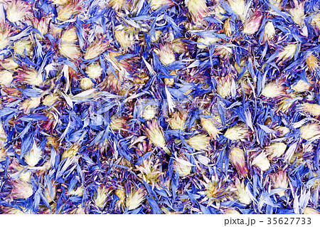 Knapweed dry leaves texture. Close-up photo. 35627733