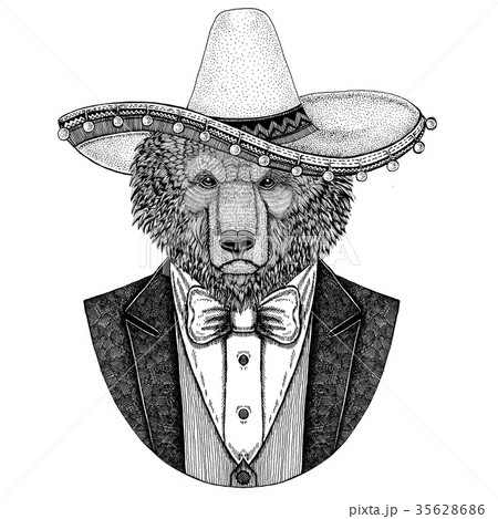 Brown bear Russian bear Hand drawn illustration Brown bear Russian bear Hand drawn illustration 35628686