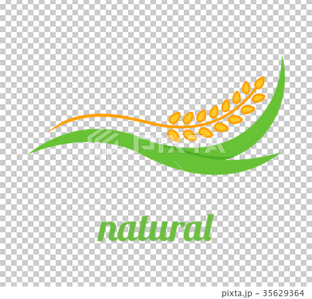 Wheat Logo Template vector icon design 35629364