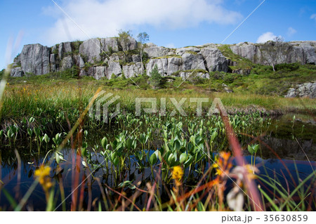 Way to the Preikestolen, Rogaland, Norway Way to the Preikestolen, Rogaland, Norway 35630859
