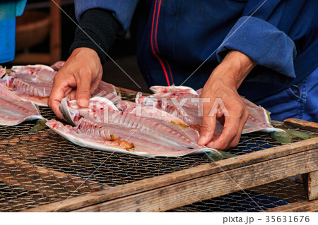 干物作り 干物作り 35631676