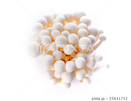 White shimeji mushroom on white background 35631752