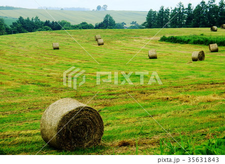 北海道の大地 35631843