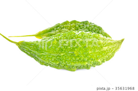 Momordica Charantia on a white background 35631968