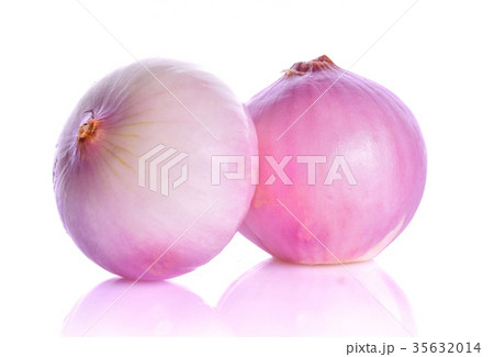 Onions on a white background 35632014