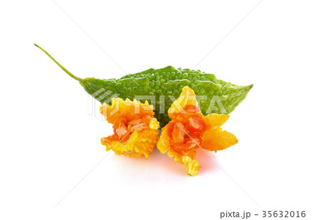 Momordica Charantia on a white background 35632016