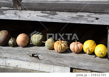 軒下のかぼちゃ 軒下のかぼちゃ 35632705