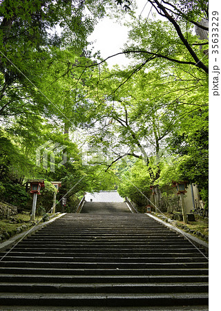 法輪寺 参道 法輪寺 参道 35633229