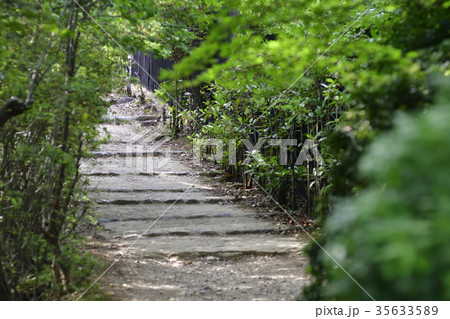 嵯峨野嵐山（紅葉初期） 35633589