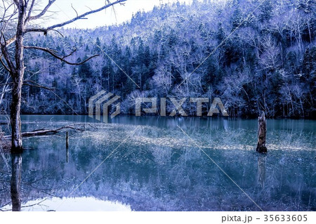 晩秋のキンムトー 35633605