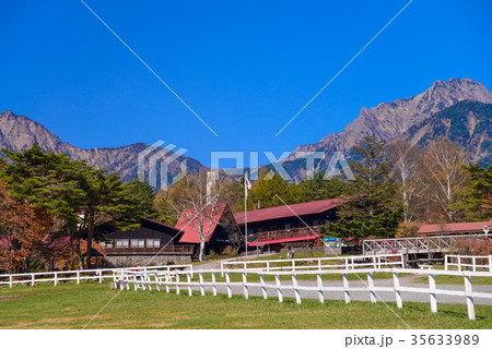 清里の清泉寮 秋 清里の清泉寮 秋 35633989