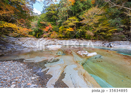 面河渓の紅葉 35634895