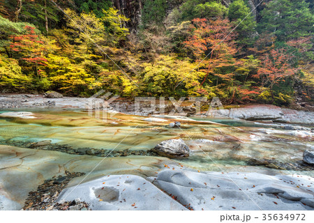 面河渓の紅葉 35634972