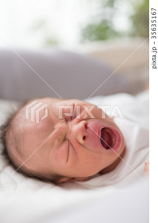 新生児 生後0ヶ月 新生児 生後0ヶ月 35635167