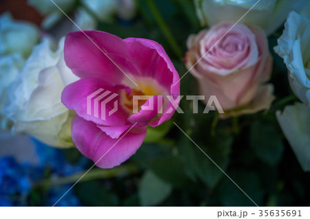 roses flower decoration for wedding event roses flower decoration for wedding event 35635691