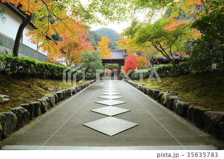 京都　秋の最勝院 35635783